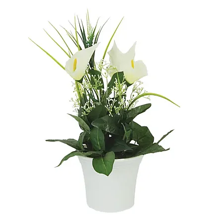 images/uploads/12205/thumb_1-270-A 2022.webp